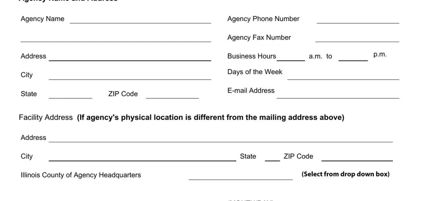 Filling in illinois form 445103 step 3