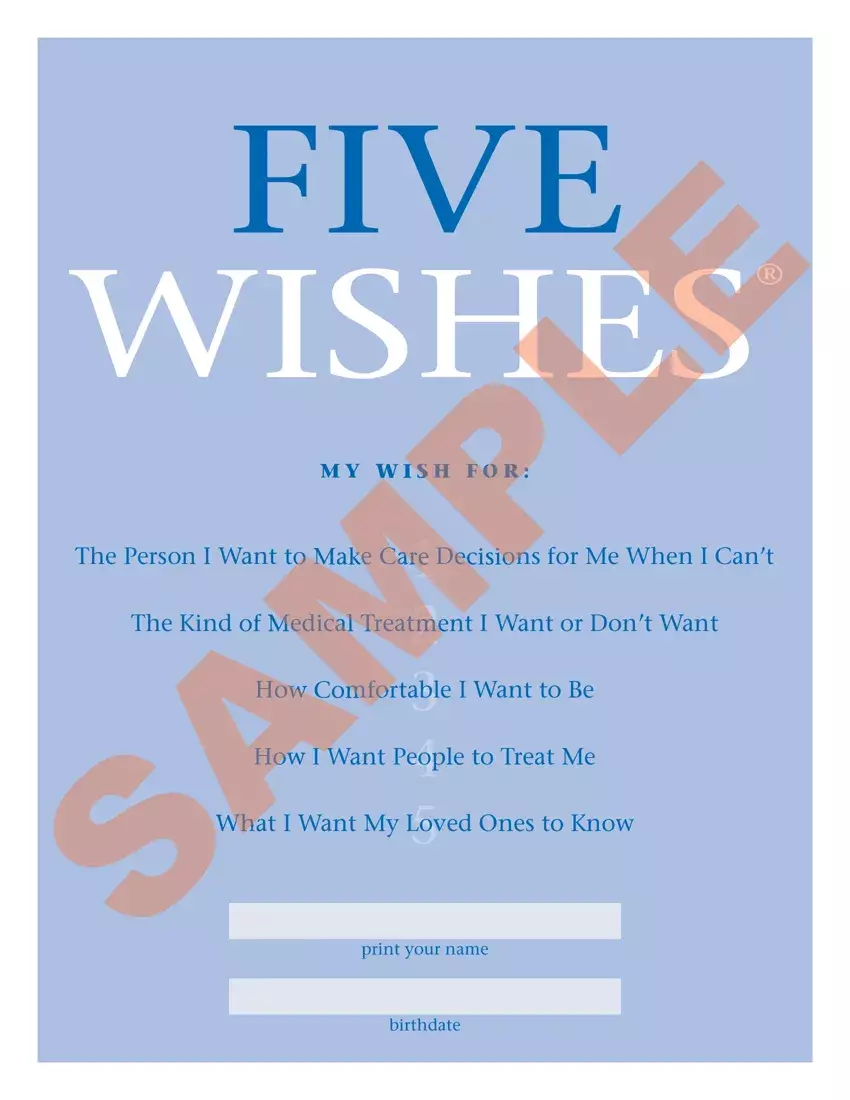 5 Wishes Document first page preview