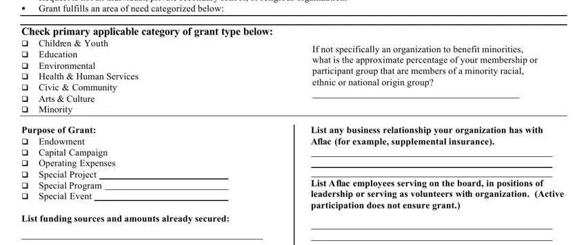 501c3 application form pdf fields to consider