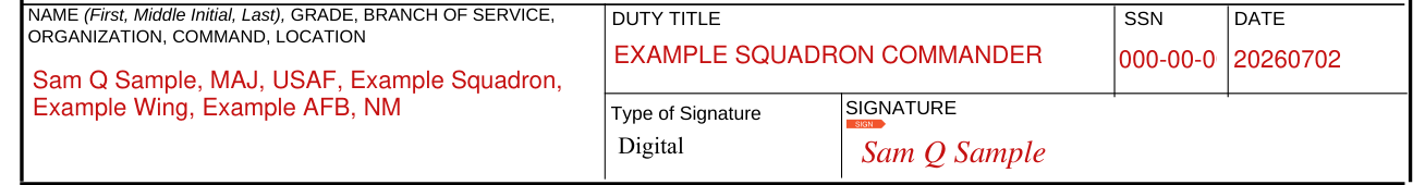 DAF Form 77 example filled out, v. Rater identification data