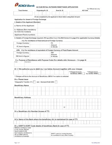 A2 Cum Retail Outward Application Form Preview