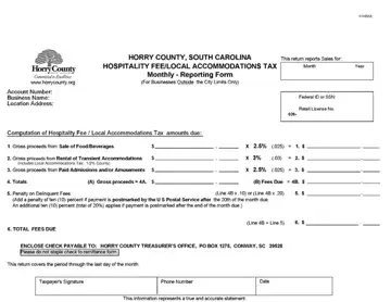 Accommodations Tax Form Preview
