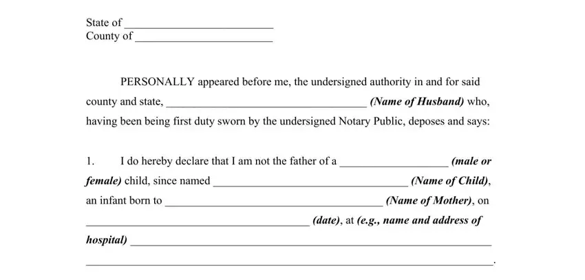 example of empty fields in affidavit denial of paternity