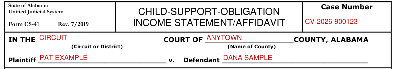 Form CS-41 example filled out, case Number, Plaintiff and Defendant