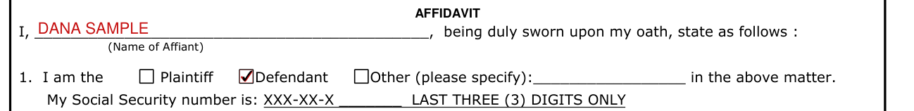 Form CS-41 example filled out, name of Affiant and Plaintiff, Defendant or Other