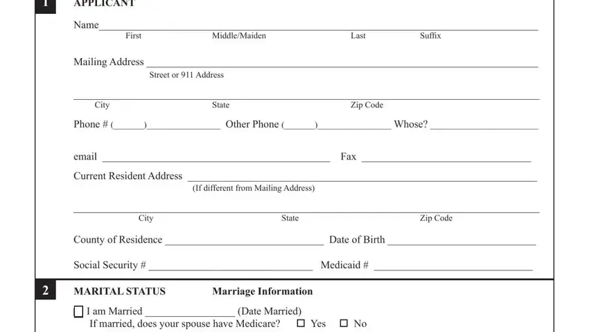 form 211 alabama medicaid fields to fill in