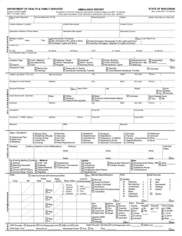 Ambulance Report Form Preview