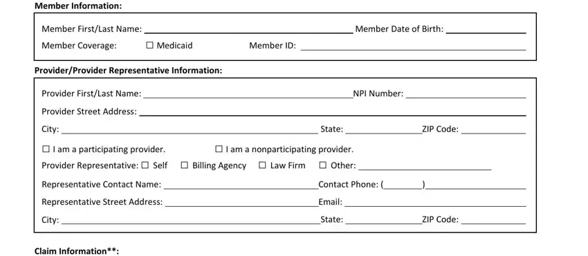 example of fields in amerigroup reconsideration form 2019