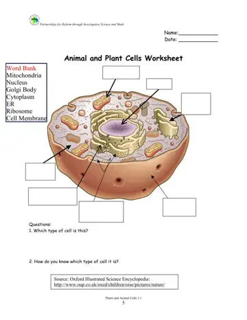Animal Plant Cells Worksheet Form Preview