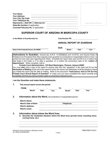 Annual Report Guardianship Form Preview
