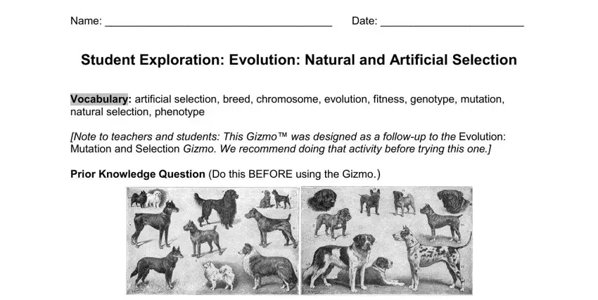 stage 1 to filling out student exploration natural selection answer key pdf