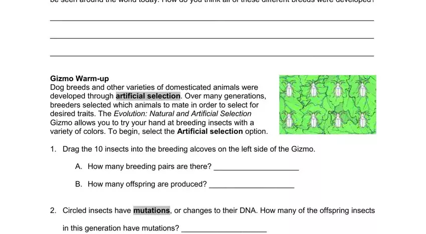 Completing evolution natural and artificial selection gizmo answer key pdf step 2