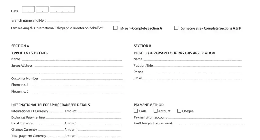 example of blanks in tt application form