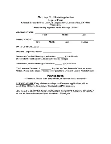 Application GA Marriage License Form Preview