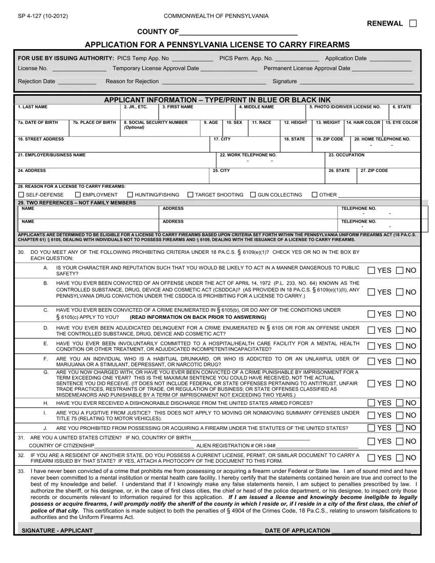 Application License Carry Firearms first page preview