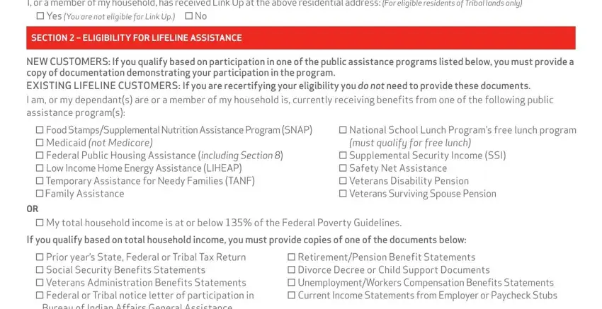 stage 2 to entering details in ny verizon lifeline service