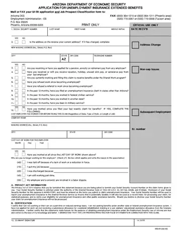 Apply Unemployment Form Preview