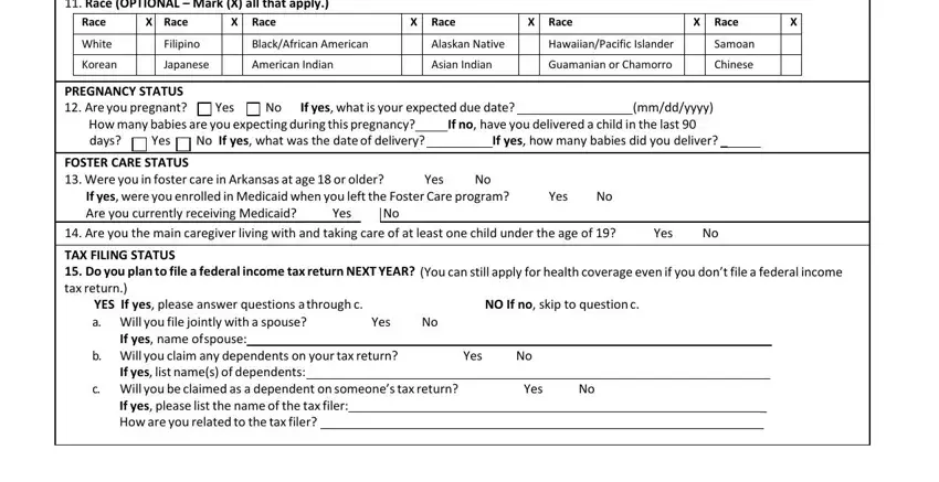 Completing arkids application online stage 5