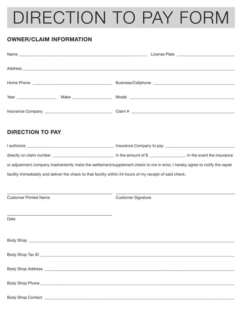 Authorization And Direction Pay PDF Form FormsPal