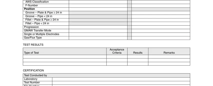 Filling in aws d1 1 pdf step 2