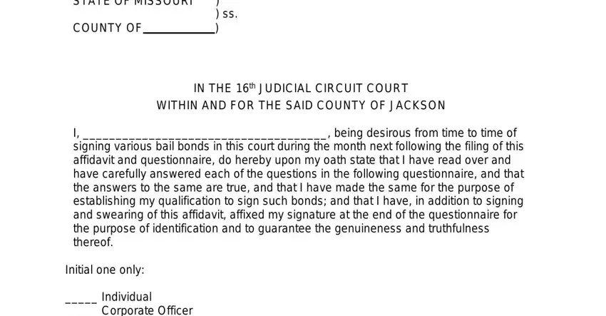 blank bail bond form empty fields to fill in