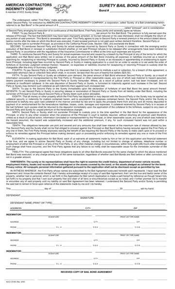 Bail Bond Release Paperwork Preview