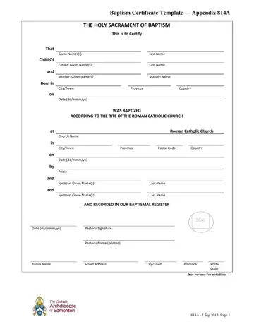 Baptism Fillable Form Preview