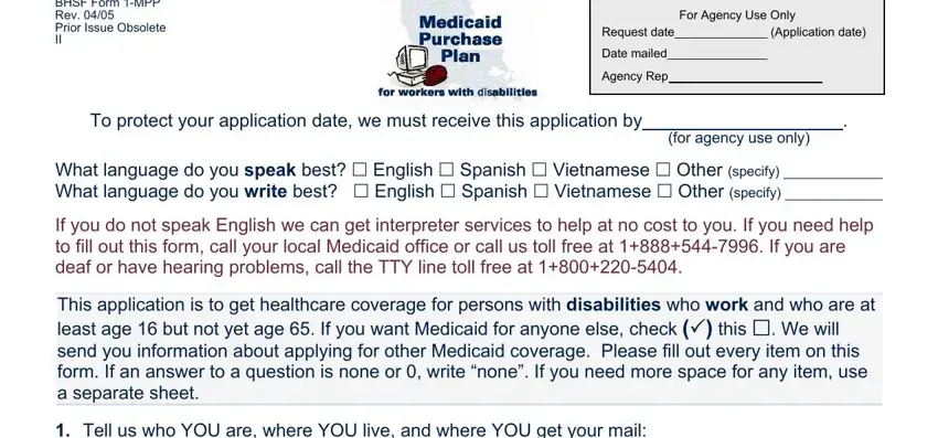 louisiana medicaid application pdf fields to complete