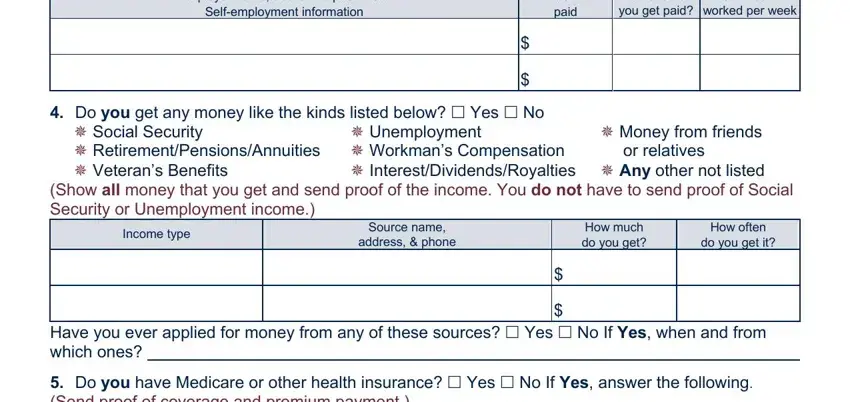 Completing louisiana medicaid paper application stage 3