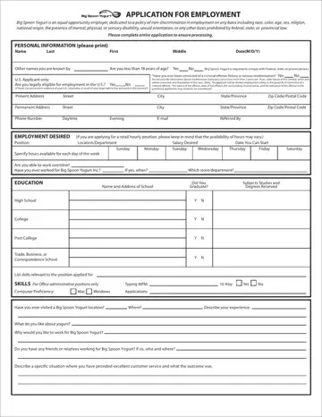Big Spoon Yogurt Job Application Form Preview