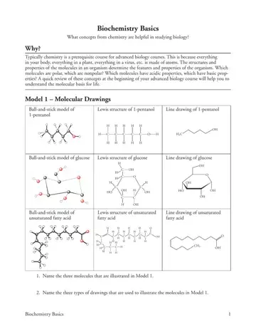 Biochemistry Basics Form Preview