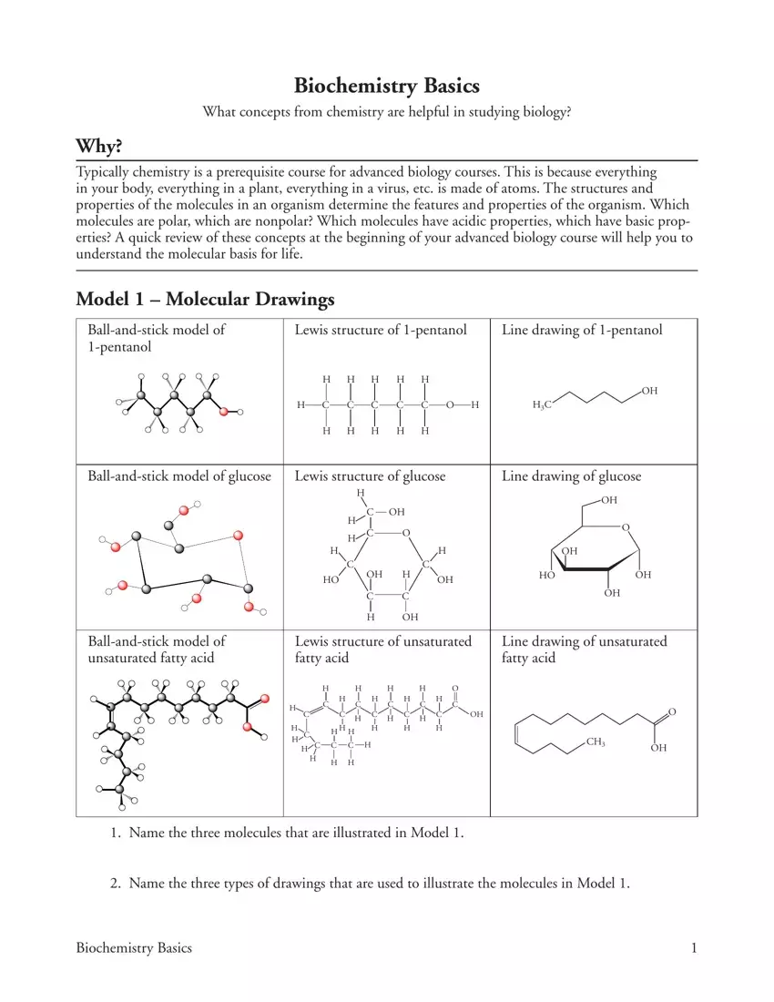 Biochemistry Basics Form first page preview