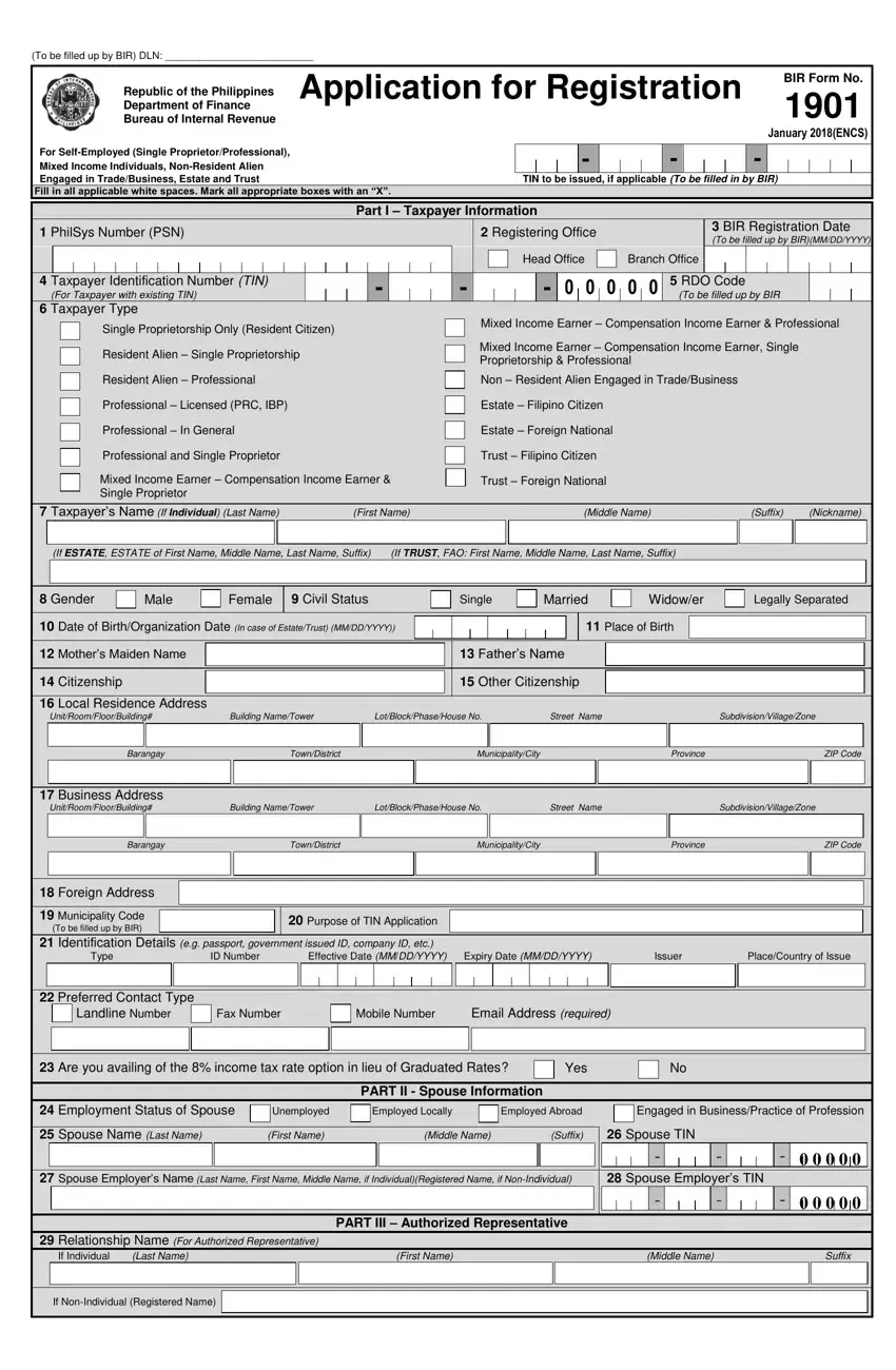 Bir Form 1901 first page preview