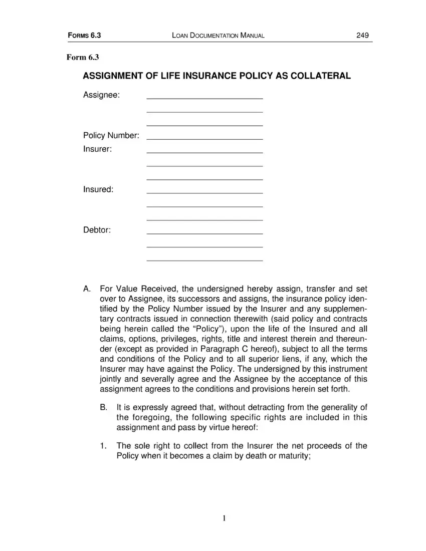 Blamk Free Printable Life Insurance List first page preview