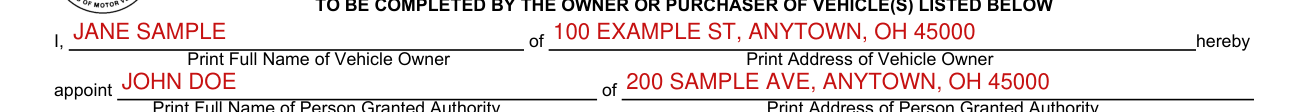 Form BMV 5736 example filled out, owner and person granted authority