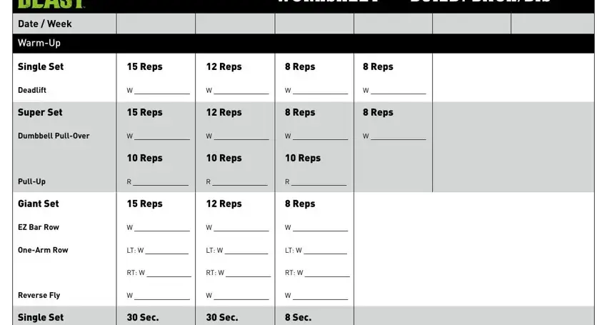 Entering details in beast body workout sheets part 3