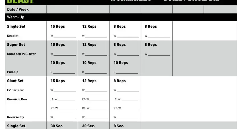 BodyBeast Build - Back and Biceps Workout Sheet, PDF, Weight Training