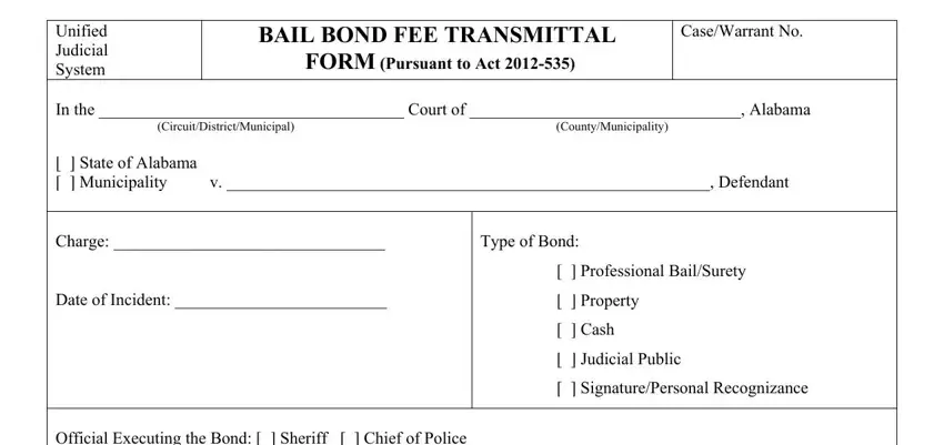 entering details in blank bail form step 1
