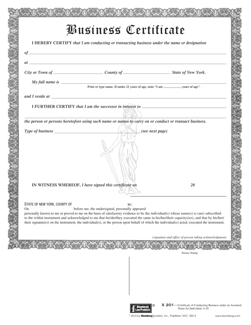 Business Certificate first page preview