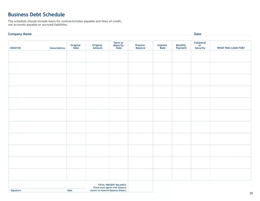 Business Debt Schedule Form first page preview