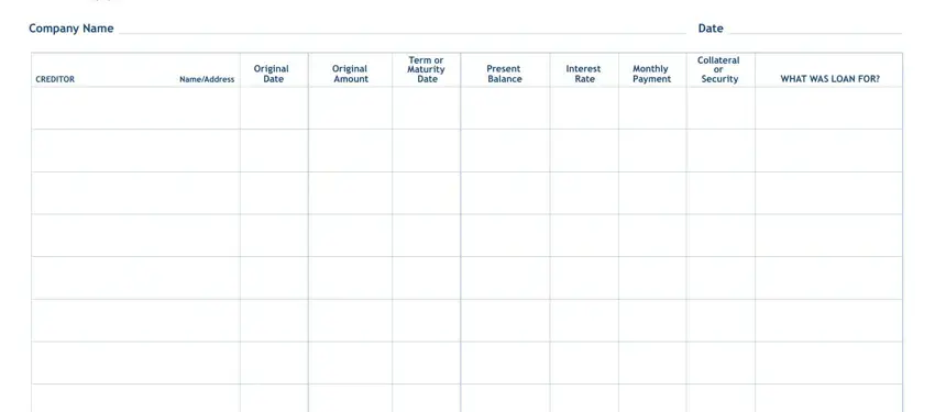 portion of empty spaces in debt schedule example