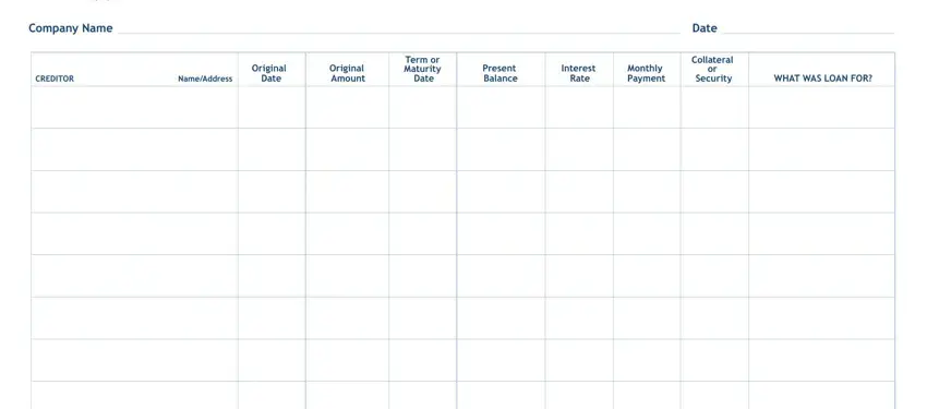 portion of empty spaces in debt schedule