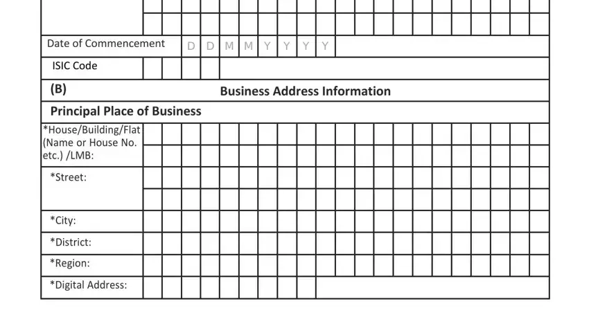 online business registration form Date of Commencement, D D M M Y Y Y Y, ISIC Code, B Business Address Information, Street, City, District, Region, and Digital Address fields to complete