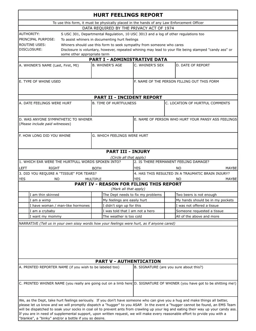 Hurt Feelings Report Form first page preview