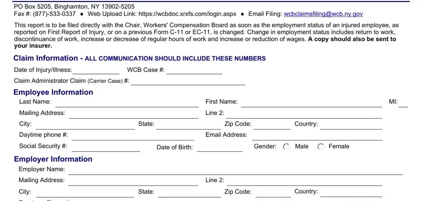 portion of blanks in c 11 form fillable