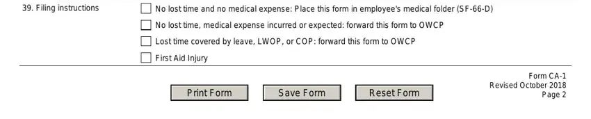 form ca 1 Filing instructions, No lost time and no medical, No lost time medical expense, Lost time covered by leave LWOP or, First Aid Injury, and Form CA Revised October  Page blanks to fill