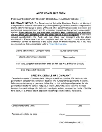 California Audit Form Preview