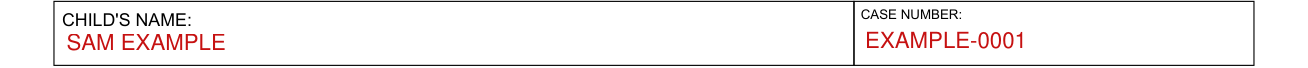 Form JV-460 example filled out, child's name and case number