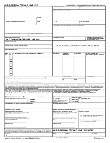 Canada Straight Bill Of Lading Form Preview