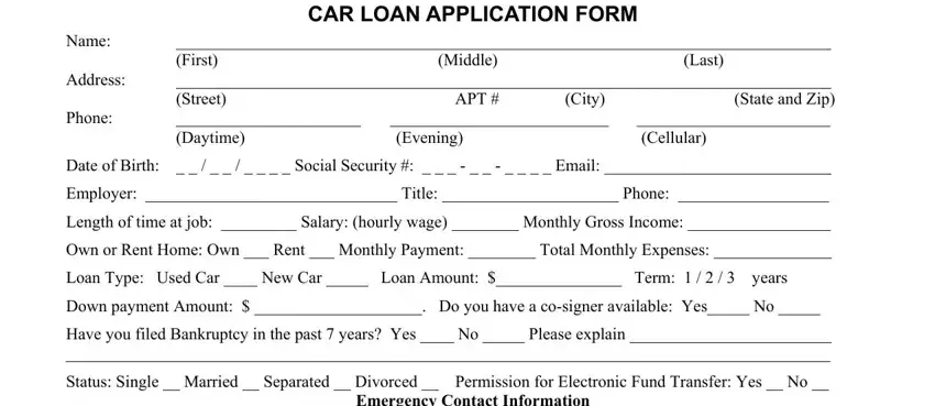 car loan form fields to complete